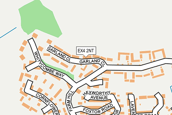 EX4 2NT map - OS OpenMap – Local (Ordnance Survey)