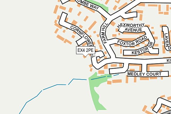 EX4 2PE map - OS OpenMap – Local (Ordnance Survey)