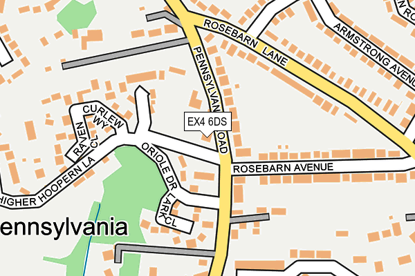 EX4 6DS map - OS OpenMap – Local (Ordnance Survey)