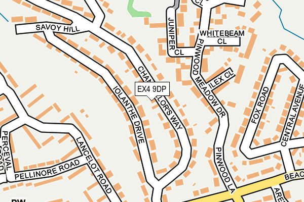 EX4 9DP map - OS OpenMap – Local (Ordnance Survey)