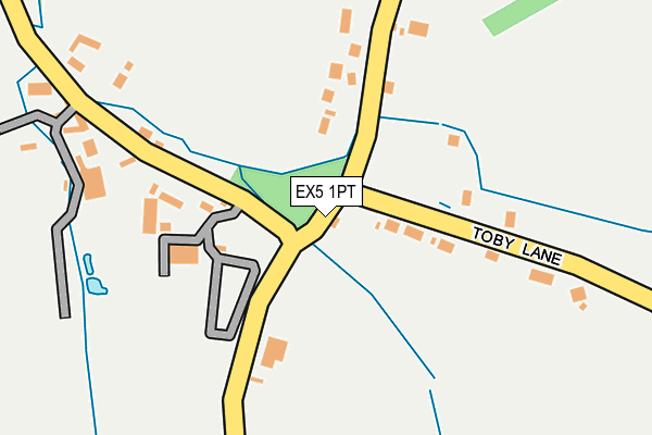 EX5 1PT map - OS OpenMap – Local (Ordnance Survey)