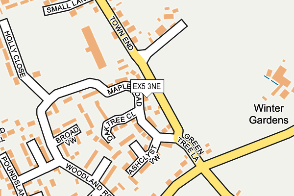 EX5 3NE map - OS OpenMap – Local (Ordnance Survey)