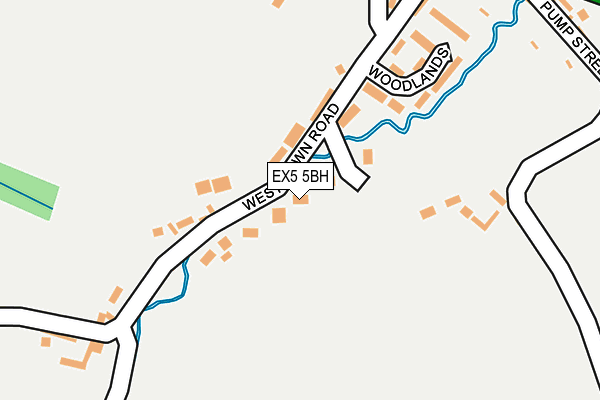 EX5 5BH map - OS OpenMap – Local (Ordnance Survey)