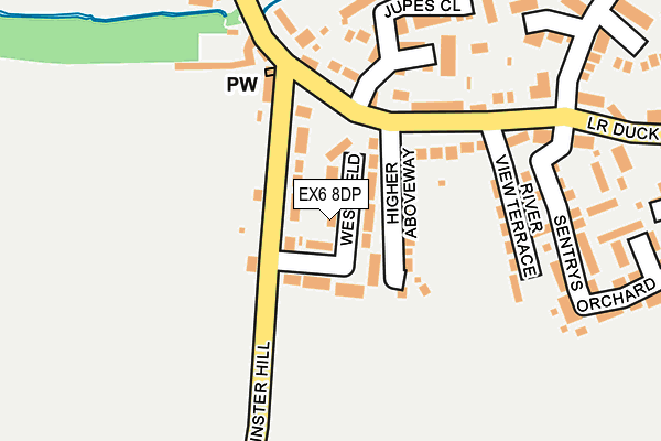 EX6 8DP map - OS OpenMap – Local (Ordnance Survey)