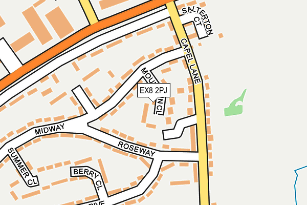 EX8 2PJ map - OS OpenMap – Local (Ordnance Survey)