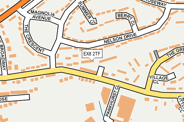 EX8 2TF map - OS OpenMap – Local (Ordnance Survey)