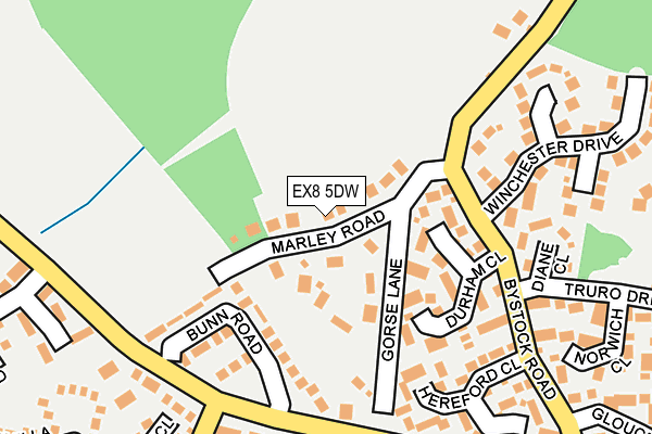 EX8 5DW map - OS OpenMap – Local (Ordnance Survey)