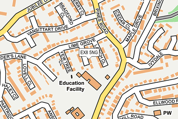 EX8 5NG map - OS OpenMap – Local (Ordnance Survey)