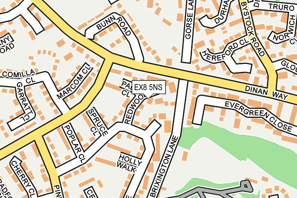 EX8 5NS map - OS OpenMap – Local (Ordnance Survey)