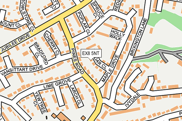 EX8 5NT map - OS OpenMap – Local (Ordnance Survey)