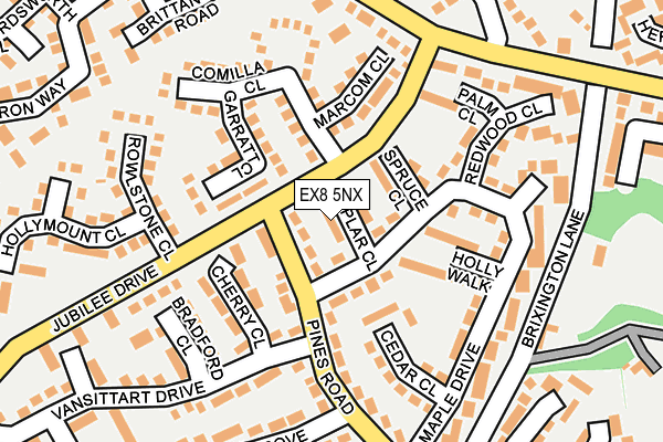 EX8 5NX map - OS OpenMap – Local (Ordnance Survey)