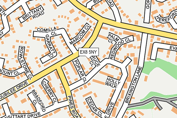 EX8 5NY map - OS OpenMap – Local (Ordnance Survey)