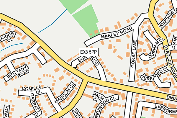 EX8 5PP map - OS OpenMap – Local (Ordnance Survey)