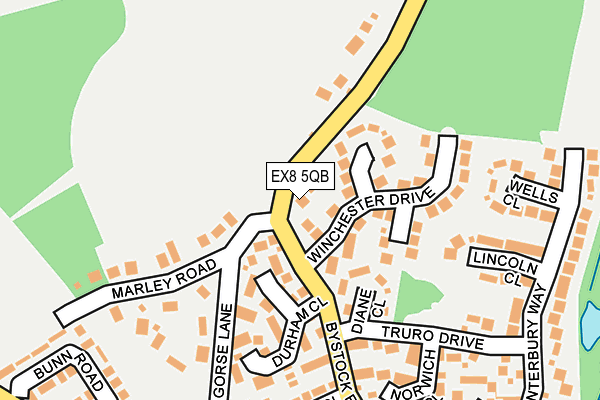 EX8 5QB map - OS OpenMap – Local (Ordnance Survey)