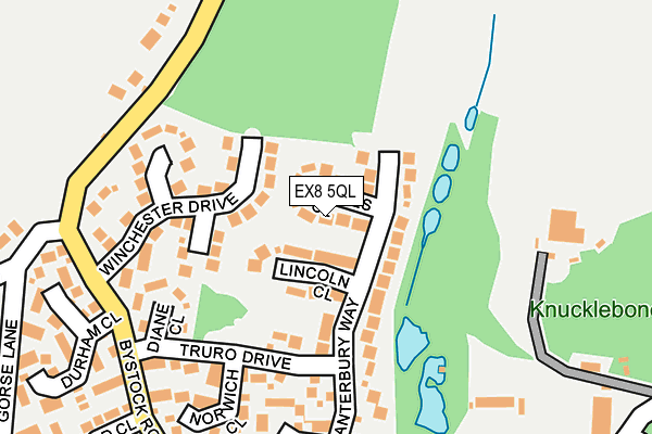 EX8 5QL map - OS OpenMap – Local (Ordnance Survey)