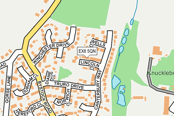 EX8 5QN map - OS OpenMap – Local (Ordnance Survey)