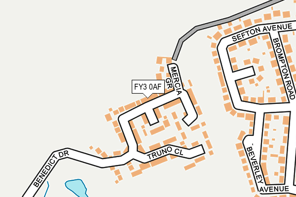 FY3 0AF map - OS OpenMap – Local (Ordnance Survey)