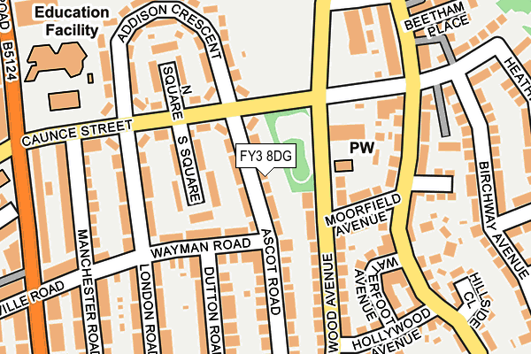 FY3 8DG map - OS OpenMap – Local (Ordnance Survey)