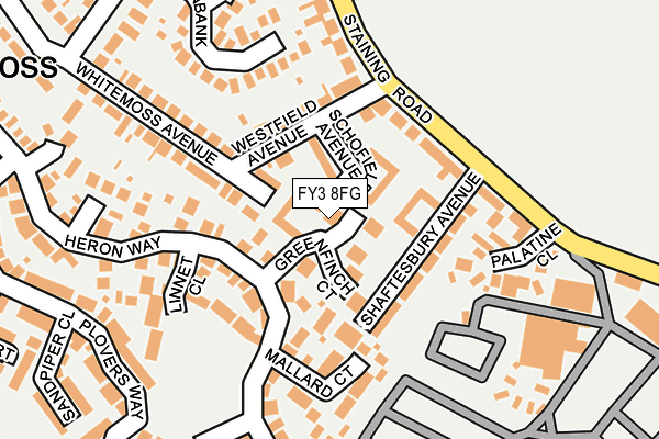 FY3 8FG map - OS OpenMap – Local (Ordnance Survey)
