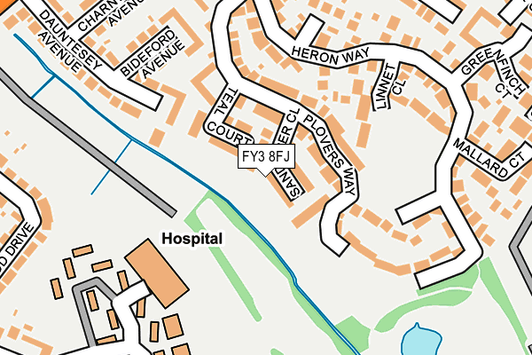 FY3 8FJ map - OS OpenMap – Local (Ordnance Survey)