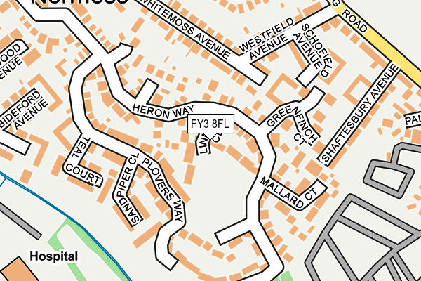 FY3 8FL map - OS OpenMap – Local (Ordnance Survey)
