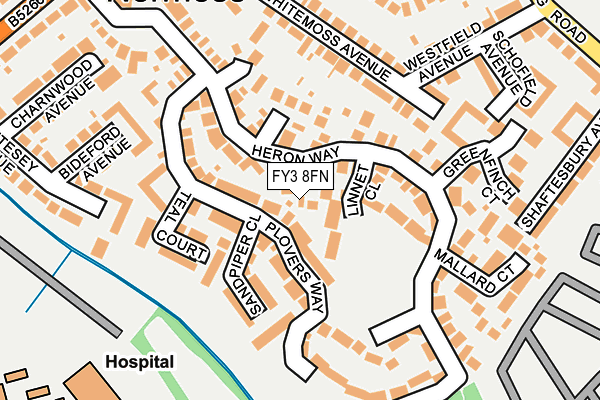 FY3 8FN map - OS OpenMap – Local (Ordnance Survey)
