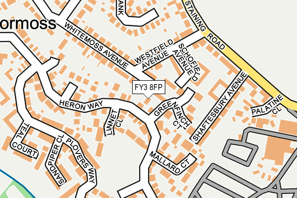 FY3 8FP map - OS OpenMap – Local (Ordnance Survey)