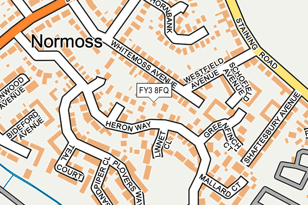 FY3 8FQ map - OS OpenMap – Local (Ordnance Survey)