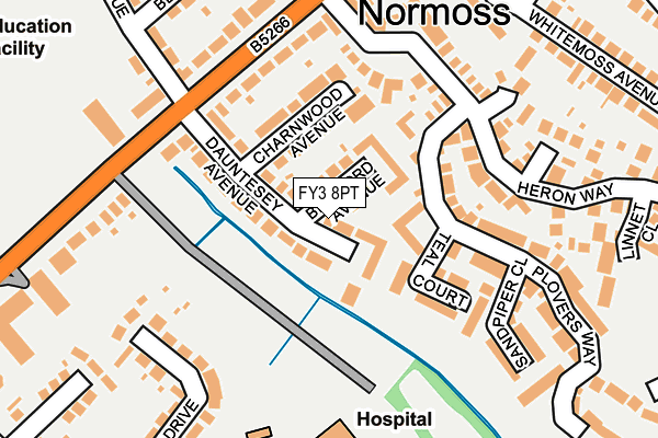 FY3 8PT map - OS OpenMap – Local (Ordnance Survey)