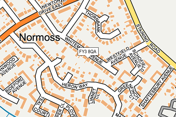 FY3 8QA map - OS OpenMap – Local (Ordnance Survey)