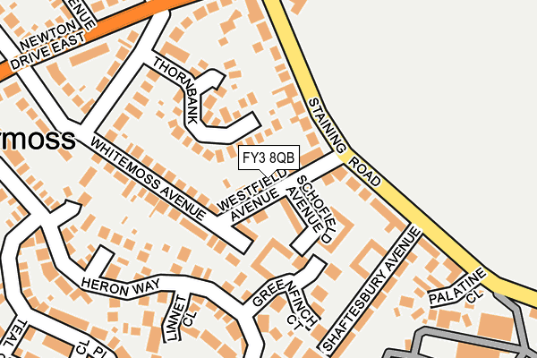 FY3 8QB map - OS OpenMap – Local (Ordnance Survey)