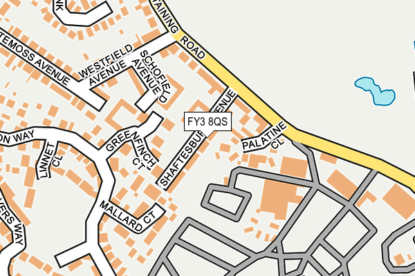 FY3 8QS map - OS OpenMap – Local (Ordnance Survey)