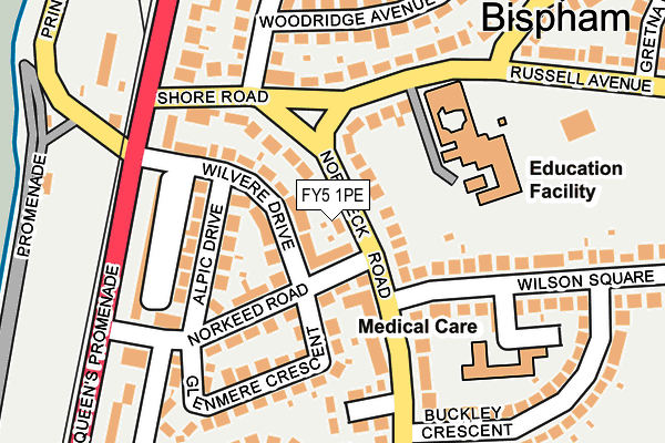 FY5 1PE map - OS OpenMap – Local (Ordnance Survey)