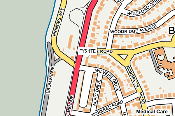 FY5 1TE map - OS OpenMap – Local (Ordnance Survey)