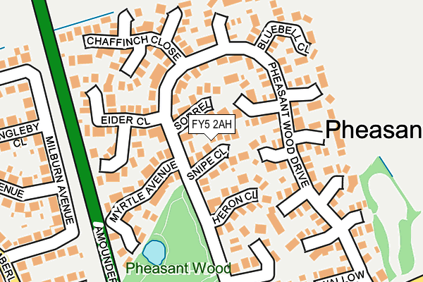 FY5 2AH map - OS OpenMap – Local (Ordnance Survey)