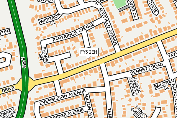 FY5 2EH map - OS OpenMap – Local (Ordnance Survey)