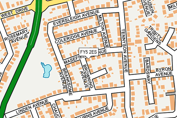 FY5 2ES map - OS OpenMap – Local (Ordnance Survey)