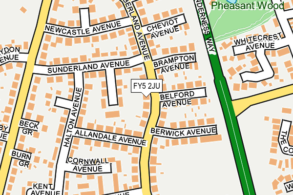 FY5 2JU map - OS OpenMap – Local (Ordnance Survey)