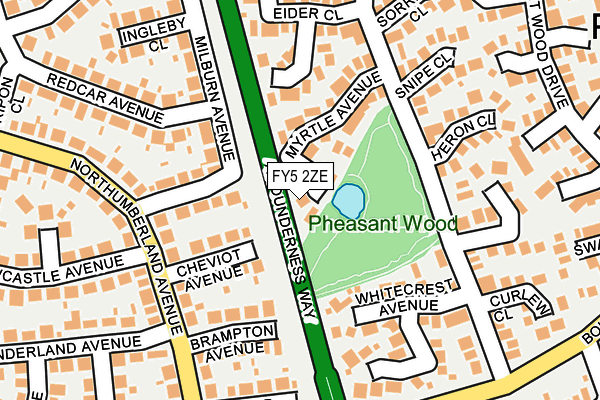 FY5 2ZE map - OS OpenMap – Local (Ordnance Survey)