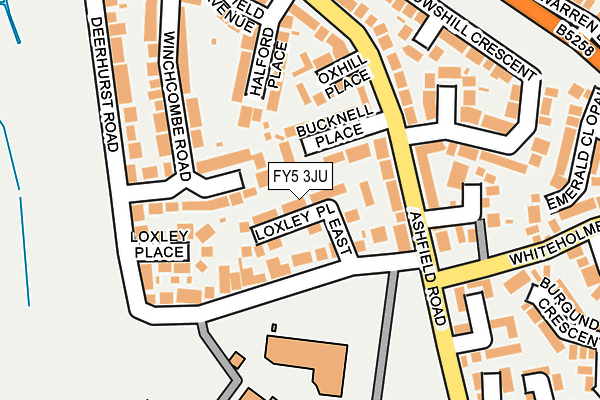 FY5 3JU map - OS OpenMap – Local (Ordnance Survey)