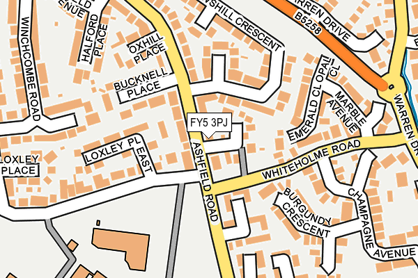 FY5 3PJ map - OS OpenMap – Local (Ordnance Survey)