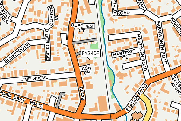 FY5 4DF map - OS OpenMap – Local (Ordnance Survey)