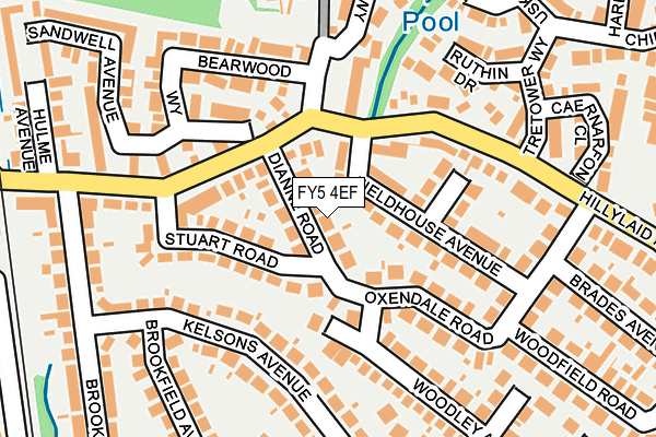 FY5 4EF map - OS OpenMap – Local (Ordnance Survey)