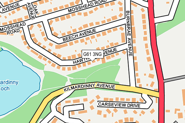 G61 3NG map - OS OpenMap – Local (Ordnance Survey)