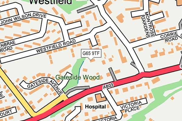 G65 9TF map - OS OpenMap – Local (Ordnance Survey)