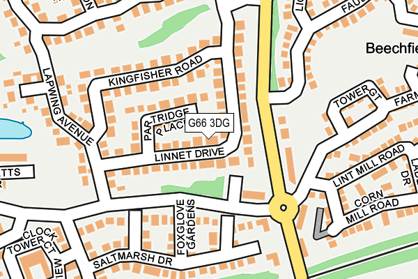 G66 3DG map - OS OpenMap – Local (Ordnance Survey)