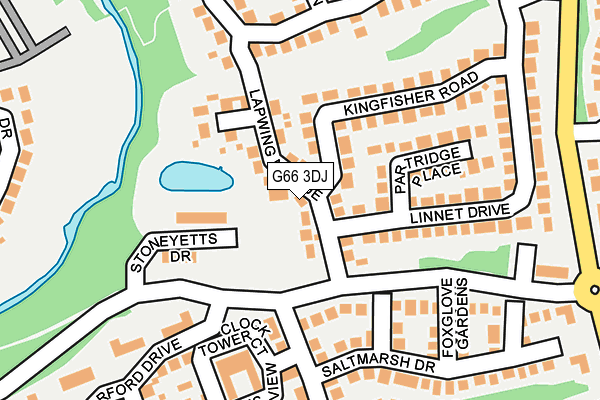 G66 3DJ map - OS OpenMap – Local (Ordnance Survey)