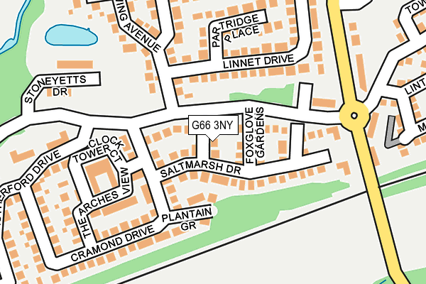 G66 3NY map - OS OpenMap – Local (Ordnance Survey)