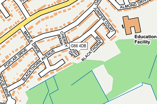G66 4DB map - OS OpenMap – Local (Ordnance Survey)