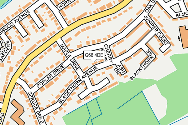 G66 4DE map - OS OpenMap – Local (Ordnance Survey)